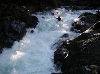 Image for Opportunity to comment on Olympic National Park management