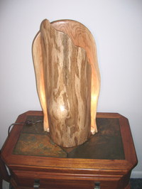 Image for Gauley Festival Silent Auction