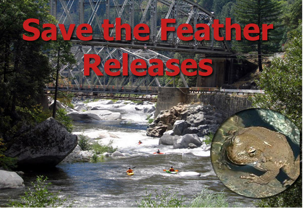 Image for September/ October Cresta Releases Canceled on Feather (CA)