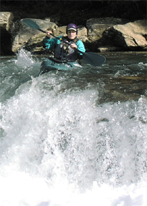 Image for Coleman Awarded AW Steward of the Year Award