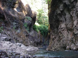 Image for White Salmon: NOAA Fisheries Releases Favorable Review of Condit Dam Removal