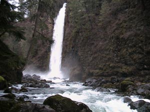 Image for Volunteer of the Month: Bill Cross