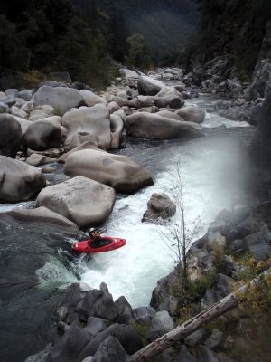 Image for Flows On The Feather