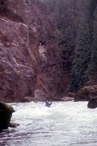 Image for Flow Survey on Green River, WA