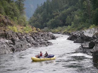 Image for Action Alert: Protect the Wild Rogue