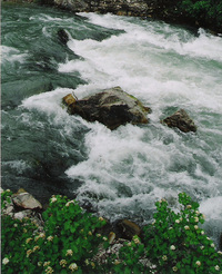 Image for Protection for Snake River Headwaters Proposed