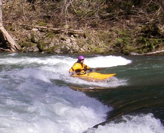 Image for Washington State Boater Survey