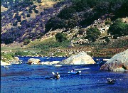 Image for PG&E Plan Protects 140,000 Acres