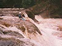 Image for Pilchuck Creek (WA) Access Closed