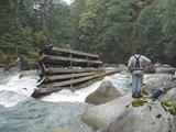 Image for Cascade River (WA) Bridge Debris Removal Update