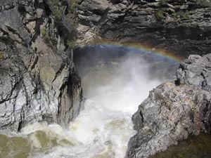 Image for Action Alert: Kettle River, BC