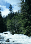 Image for South Fork Clearwater (ID) Comprehensive State Water Plan Update