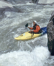 Image for Risa Shimoda Announces Resignation