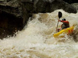 Image for Attention Blackwater River Paddlers (WV)