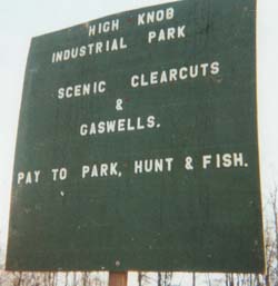 Image for US Forest Service To Log VA Creeks