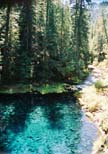 Image for PUBLIC WORKSHOP ON THE MCKENZIE RIVER (OR)