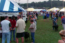 Image for 2004 AW Gauley Festival a success
