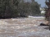 Image for Great Falls Flow Study Completed (SC)