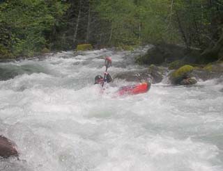 Image for McKenzie River (OR) Flow Study