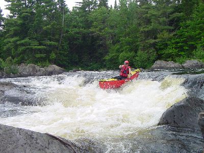 Image for New Releases in Maine; paddle and party