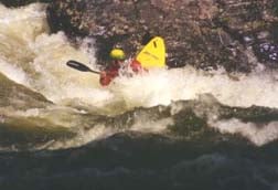 Image for Swan River Releases in Bigfork, MT