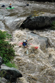 Image for Calling All Atlanta Area Paddlers