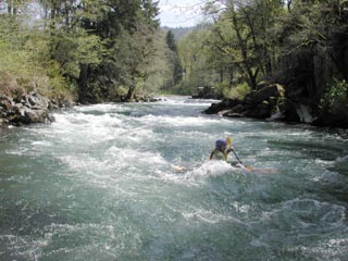Image for Opportunity to Support Condit Dam Removal