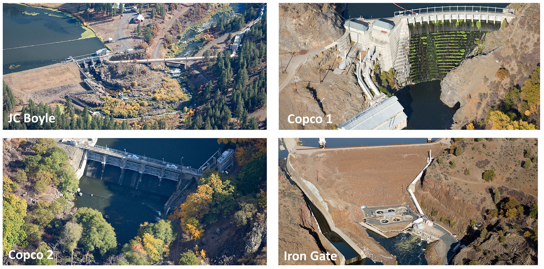 Image for Federal Regulators Approve Removal of Four Klamath River Dams!