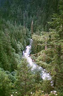 Image for New Gauge for the Cascade (WA)