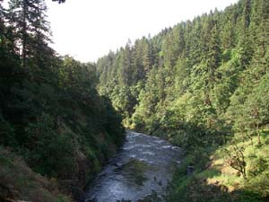 Image for New Development in Condit Dam Removal (WA)