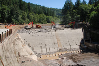 Image for Marmot Dam Removal Underway!
