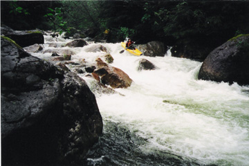 Image for Pratt Wild and Scenic Proposal (WA)