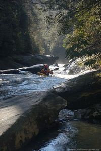 Image for Participate in the Chattooga Decision