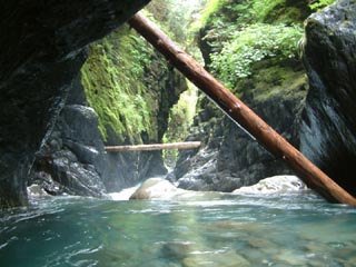 Image for Paddling Clean Rivers: Take Our Survey