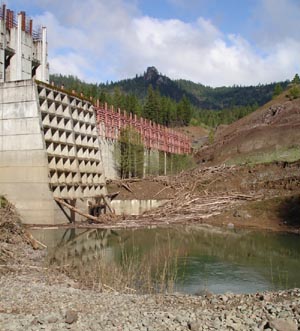Image for Action Alert: Comments Needed on Elk Creek Dam Notching
