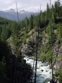 Image for Paddlers in the News Supporting Roadless Area Conservation