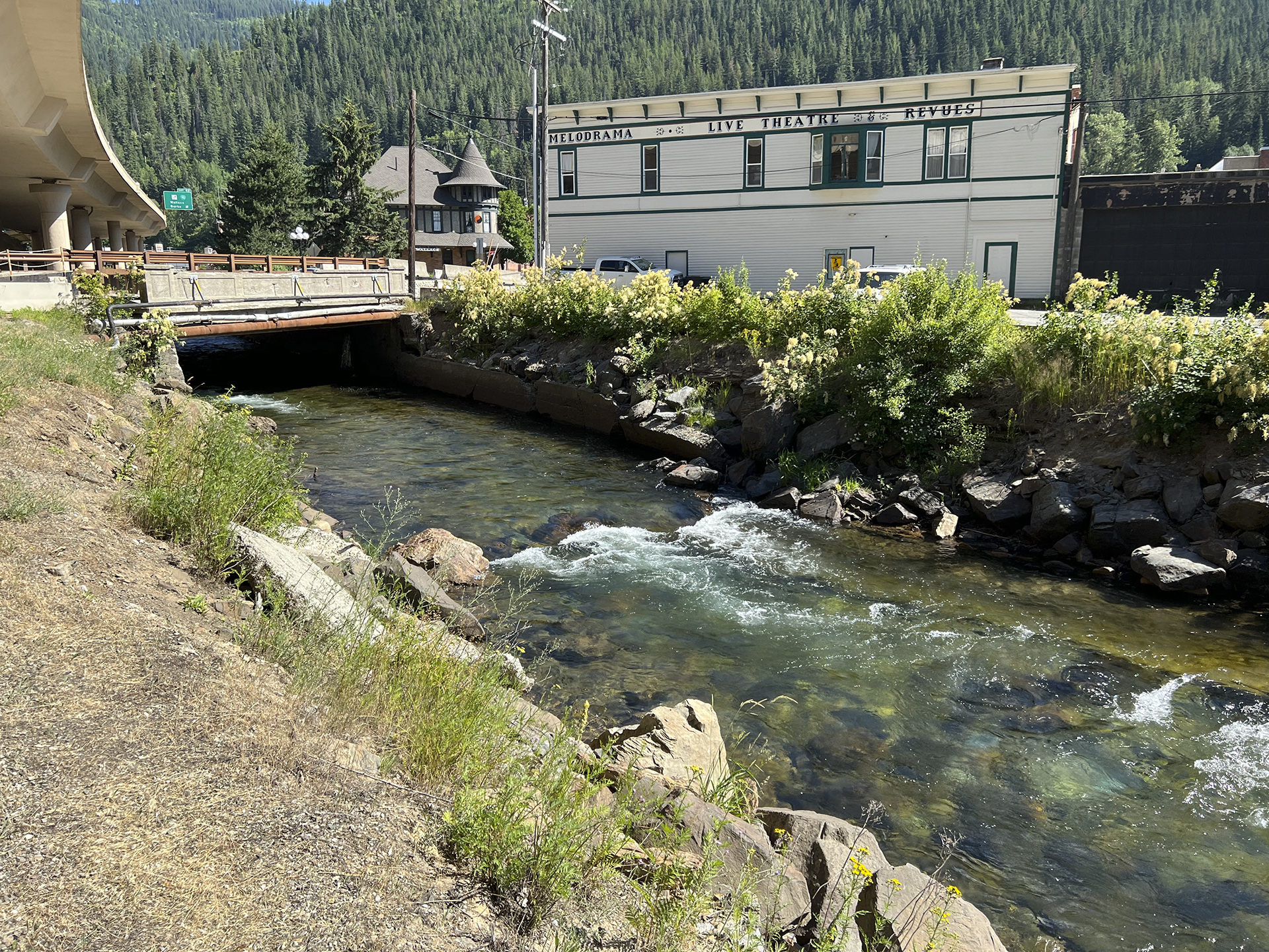 Image for Boater Access and Clean Up Planned for South Fork Coeur d’Alene
