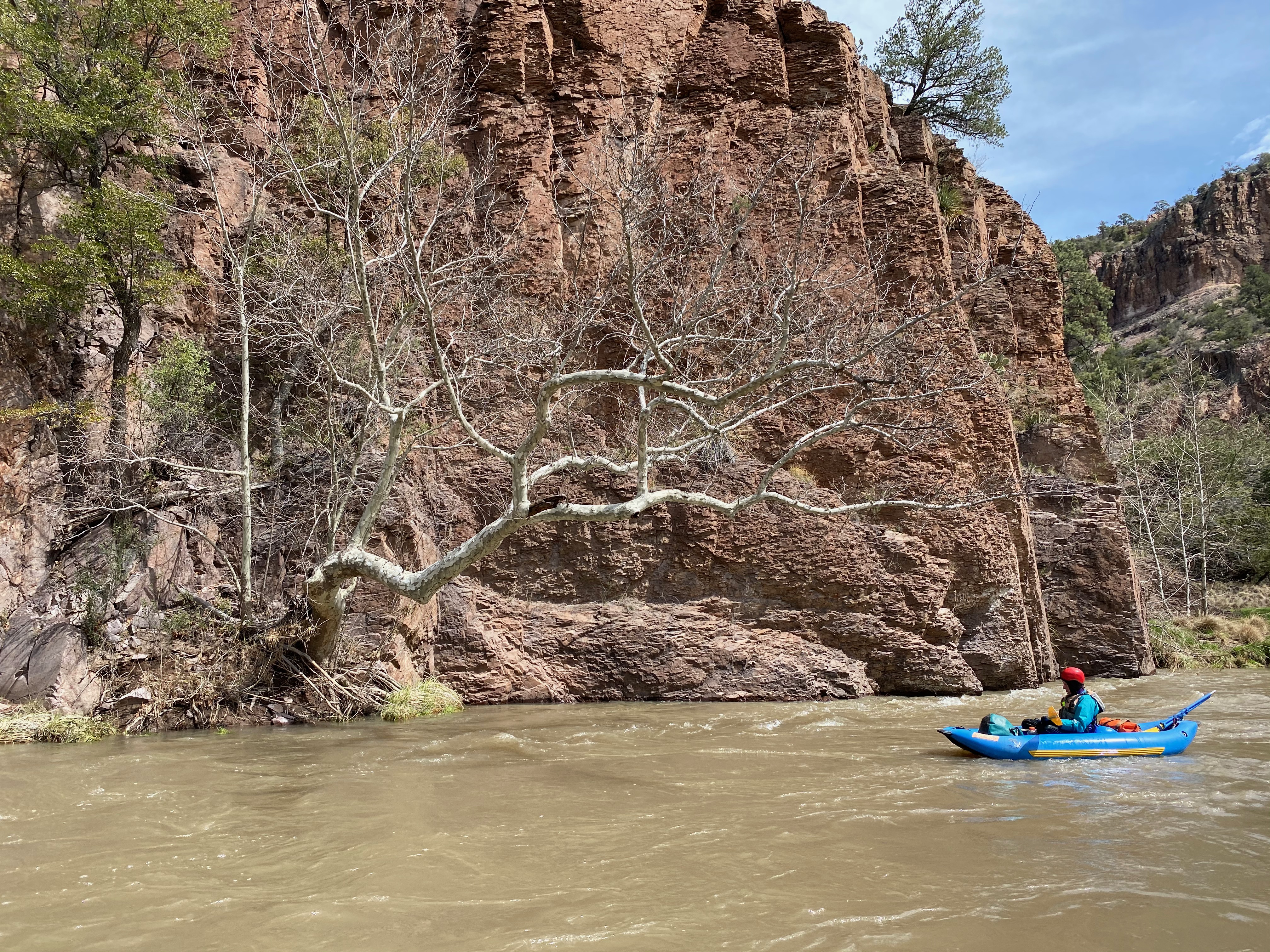 Image for Gila Wild and Scenic River Bill Reintroduced and Gaining Speed (NM) 
