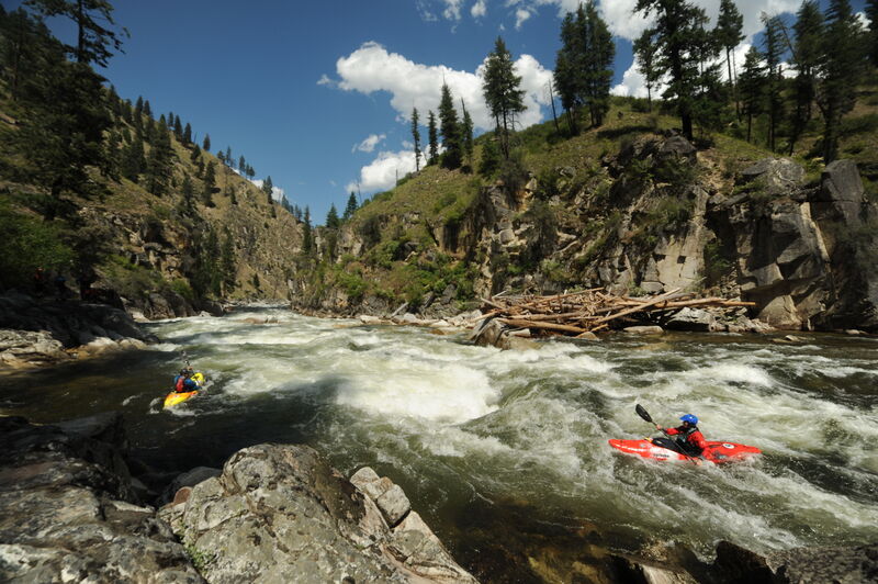 Image for Administration to Strip Protections From 58 Million Acres of Backcountry Forest