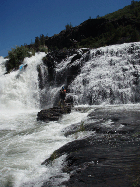 Image for 2008 Pit 1 Releases (CA)