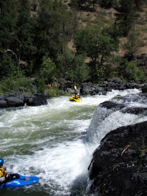 Image for California Summer Release Schedules (CA)