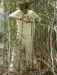 Image for Rivercane on the Cheoah