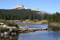Image for Tuolumne River is at Risk