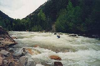 Image for Tell the Forest Service to Protect Colorado's Backcountry Forests