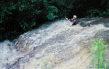 Image for Tuckasegee  River Update and Video (NC)