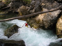 Image for Sullivan Creek Survey and Video (WA)