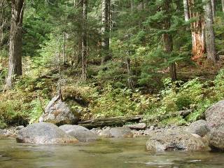 Image for AW Joins Groups in Conserving Key Lands in the Skykomish Valley (WA)