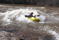 Image for 2009 Lehigh Release Schedule Announced