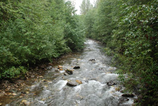 Image for Illabot Creek Wild and Scenic bill introduced