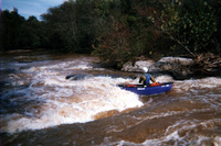 Image for New Dam Proposed on Tyger River Tributary (SC)